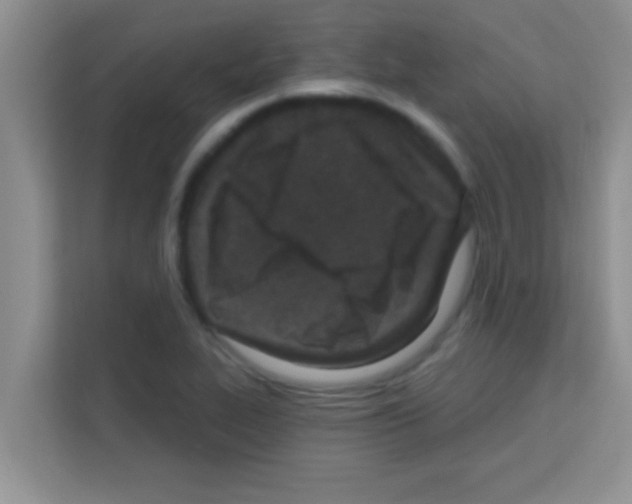 X0000113121319200910091129