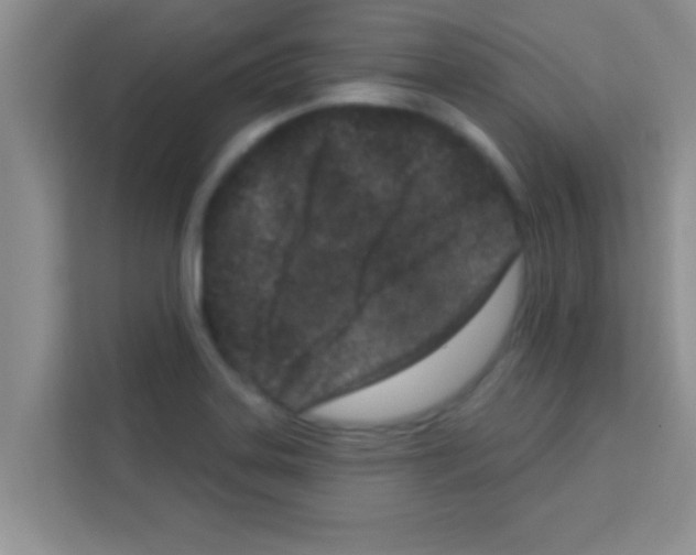 X0000113121323200910091129