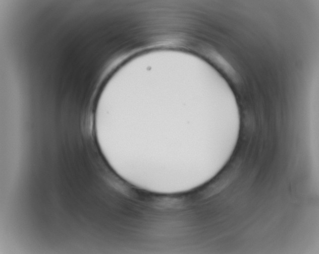 X0000113121324200910091129