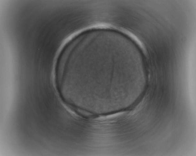 X0000113121327200910091129