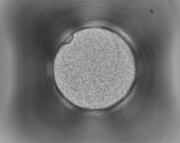 X0000113121329200910091129