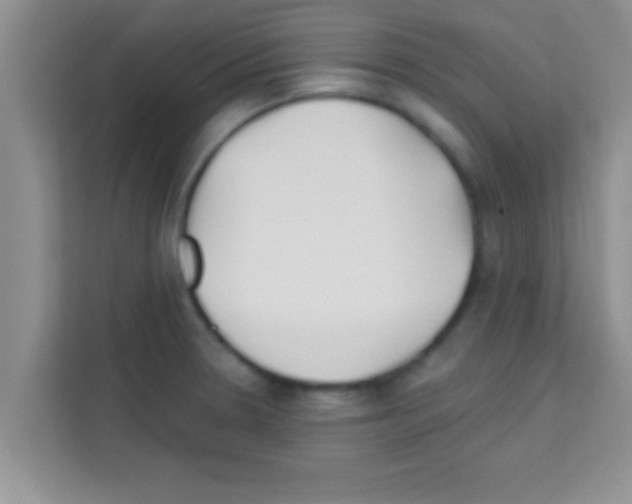 X0000113121330200910091129