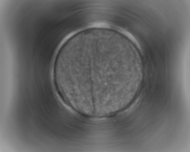 X0000113121331200910091129