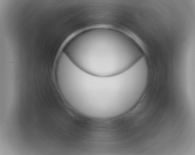 X0000113121332200910091129