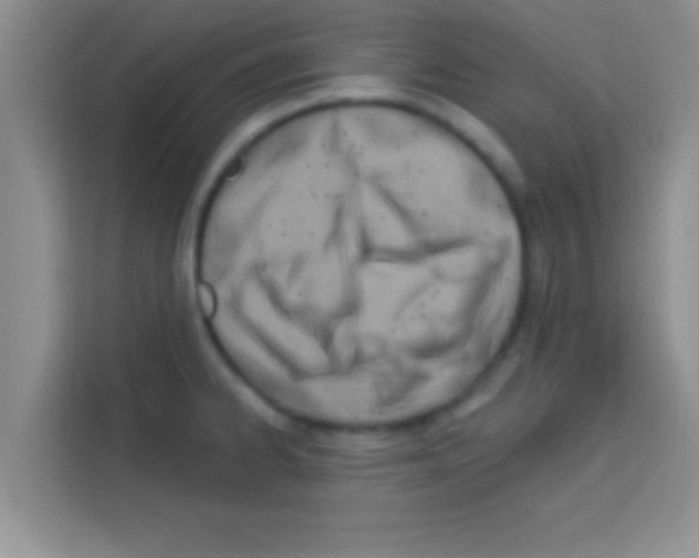 X0000113121334200910091129