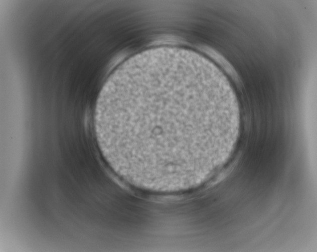 X0000113121337200910091129