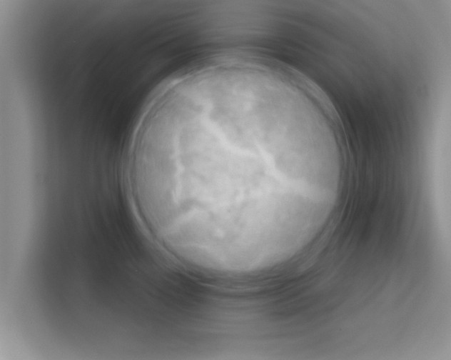 X0000113121338200910091129