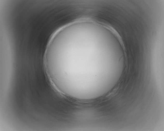 X0000113121344200910091129
