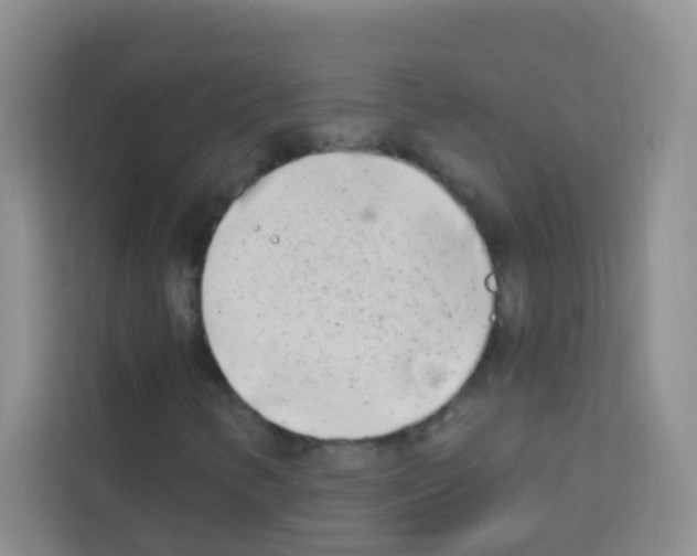 X0000113121346200910091129