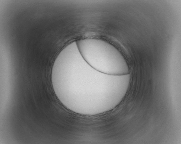 X0000113121348200910091129