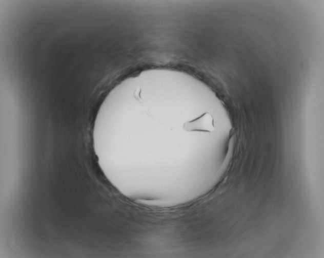X0000113121349200910091129