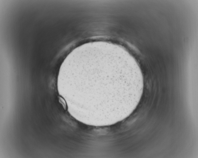 X0000113121351200910091129