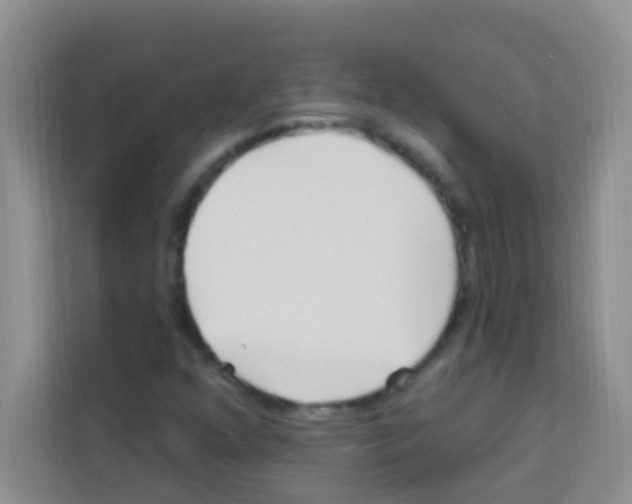 X0000113121352200910091129