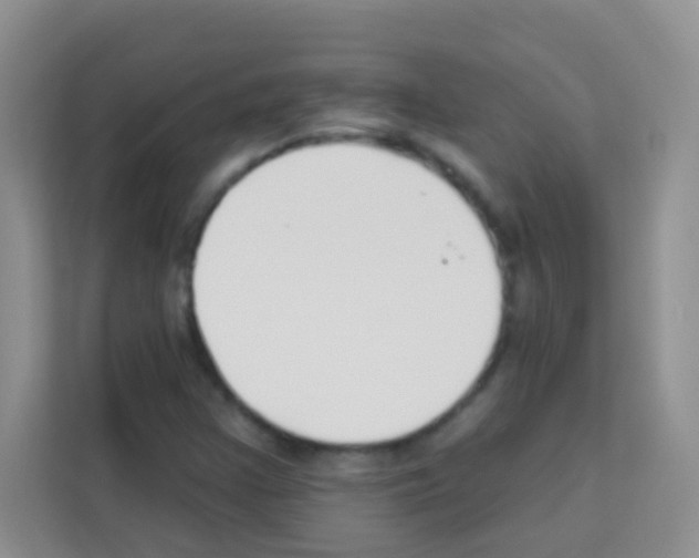 X0000113121355200910091129
