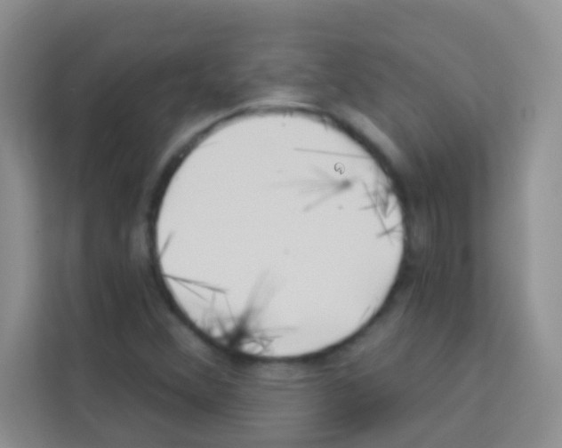 X0000113121356200910091128