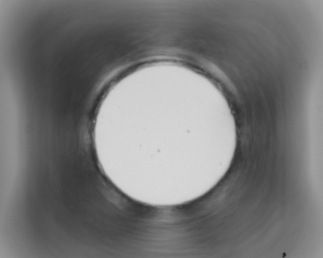 X0000113121360200910091128