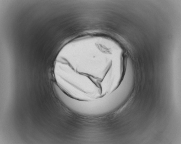 X0000113121361200910091128