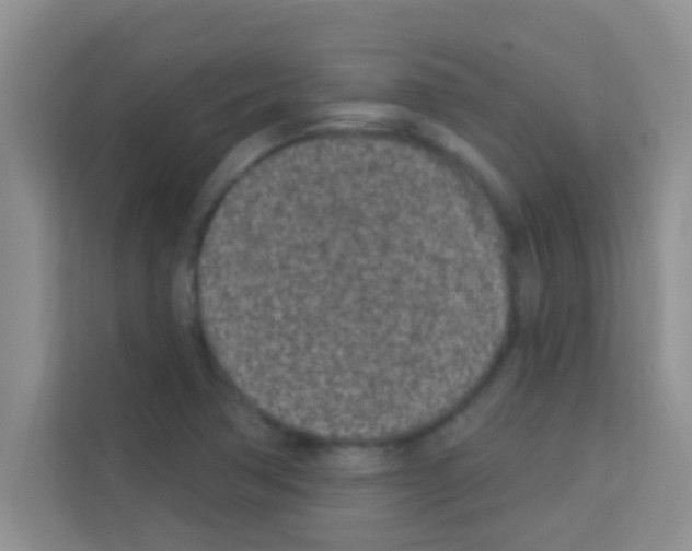 X0000113121362200910091128