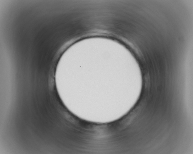 X0000113121363200910091128
