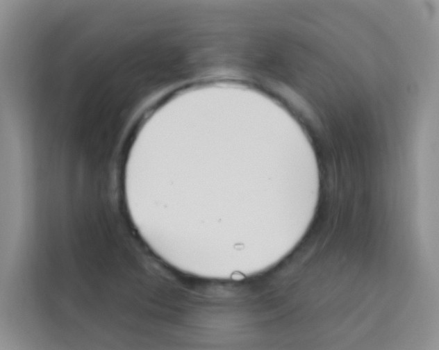 X0000113121364200910091128