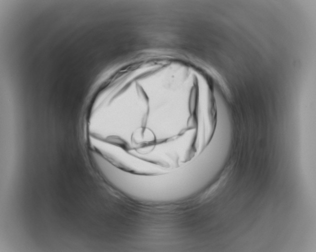 X0000113121365200910091128