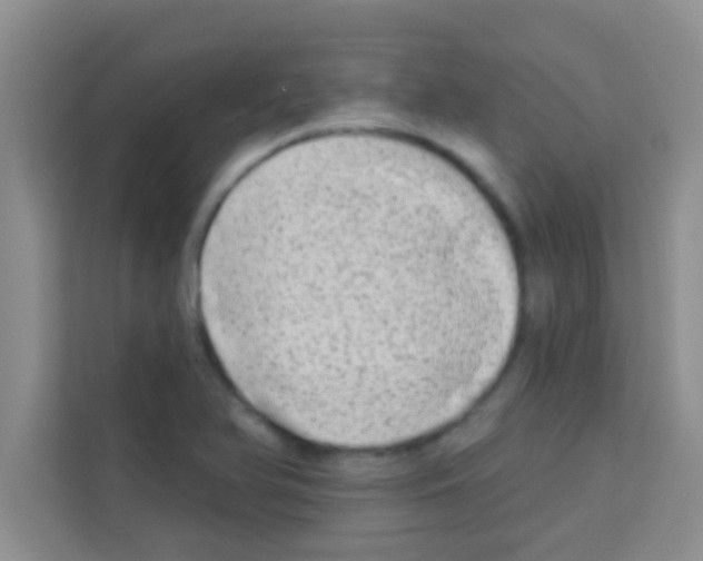 X0000113121366200910091128