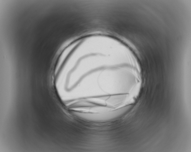 X0000113121367200910091128