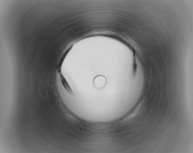 X0000113121369200910091128