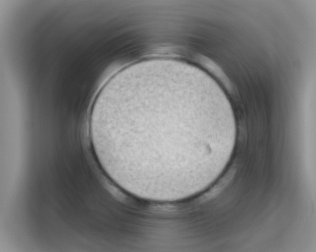 X0000113121370200910091128