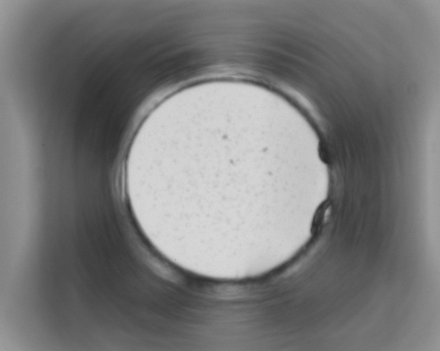 X0000113121371200910091128