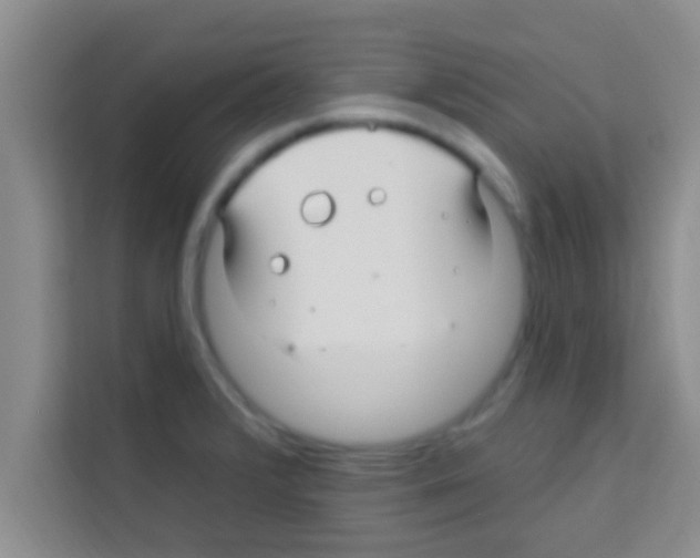 X0000113121376200910091128