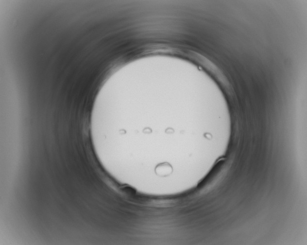 X0000113121377200910091128