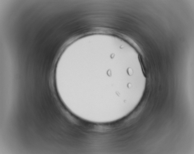 X0000113121379200910091128