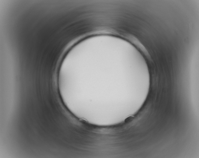 X0000113121380200910091128
