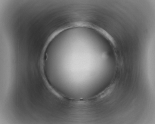 X0000113121381200910091128