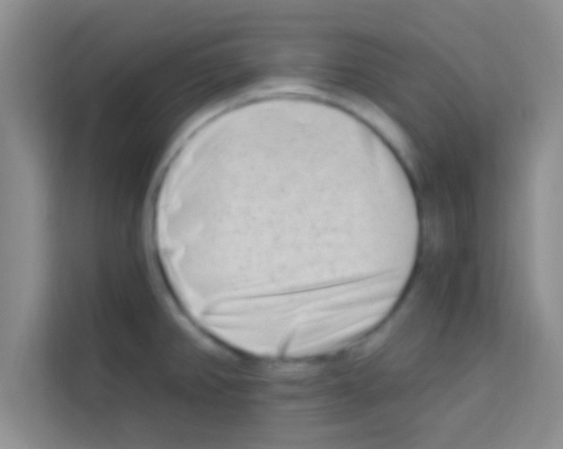 X0000113121382200910091128