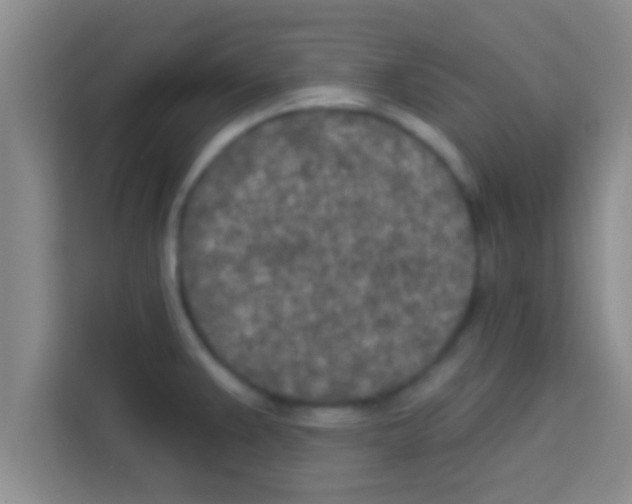 X0000113121383200910091128
