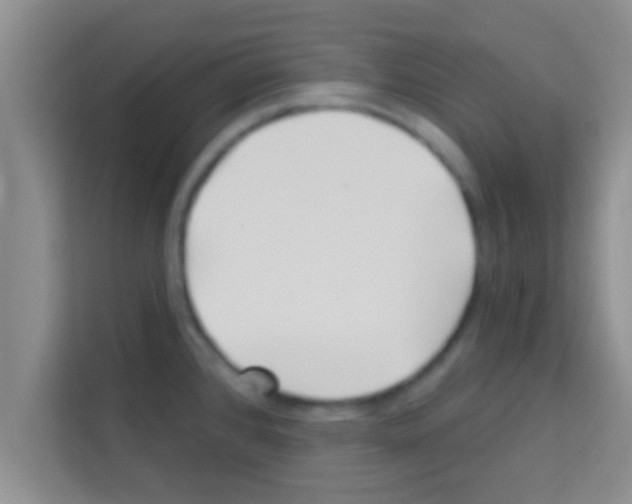 X0000113121384200910091128