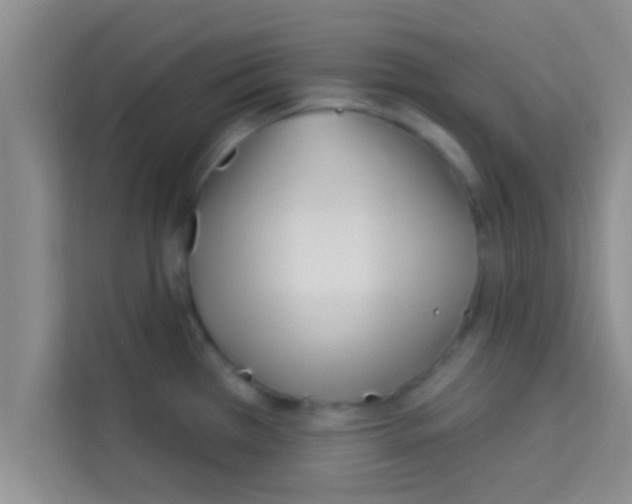 X0000113121385200910091128