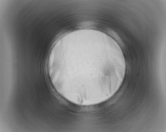 X0000113121386200910091128