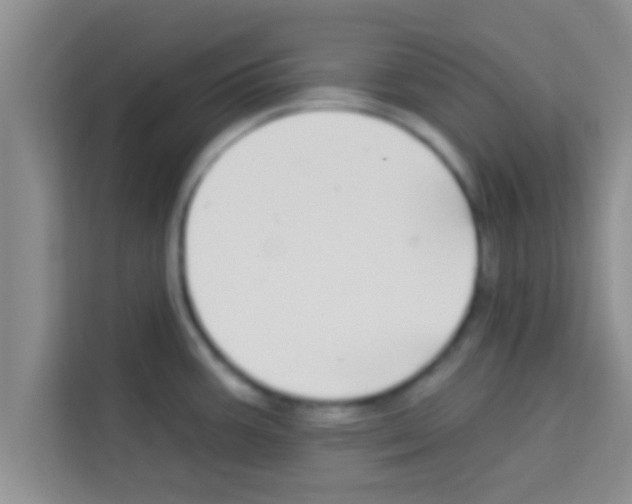 X0000113121387200910091128