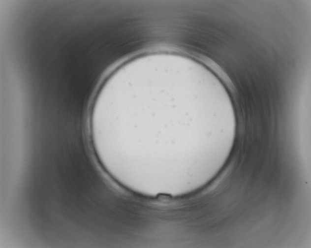 X0000113121388200910091128