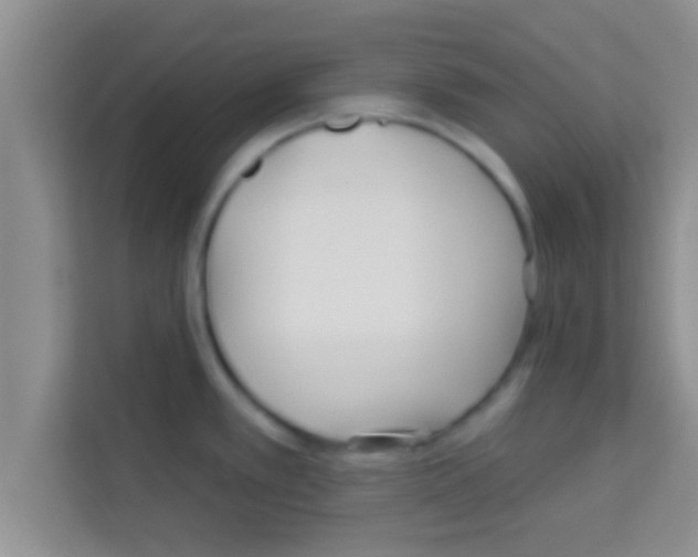 X0000113121389200910091128