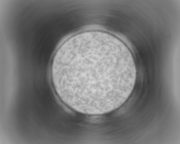 X0000113121390200910091128