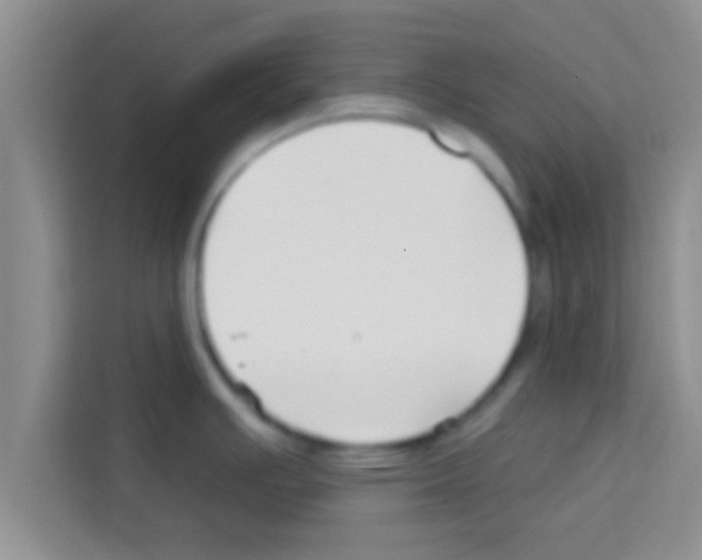 X0000113121391200910091128