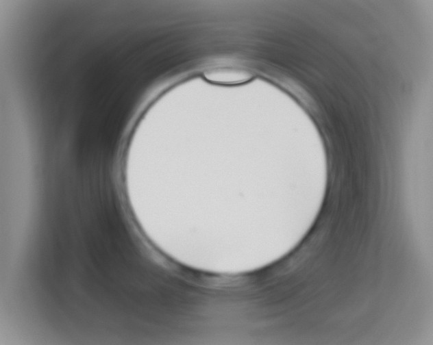 X0000113121392200910091128