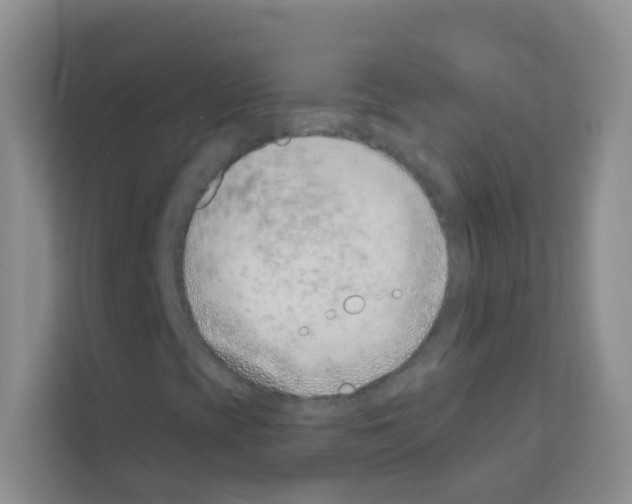 X0000113121393200910091127