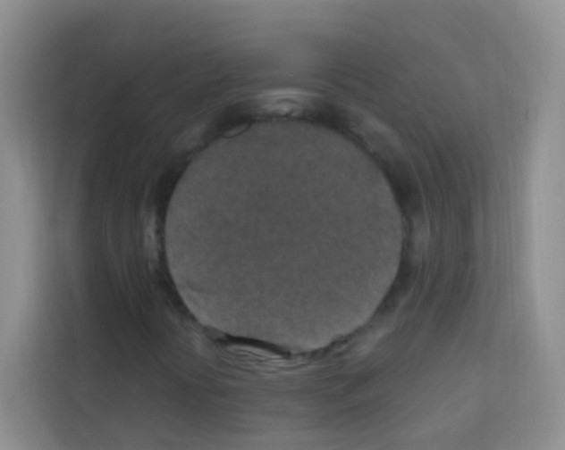 X0000113121394200910091127
