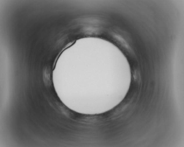 X0000113121396200910091127