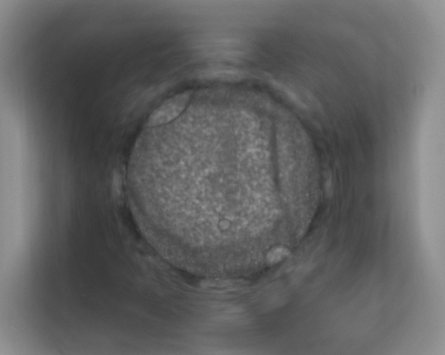 X0000113121397200910091127